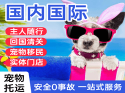 湛江空运地址国际宠物托运 【国